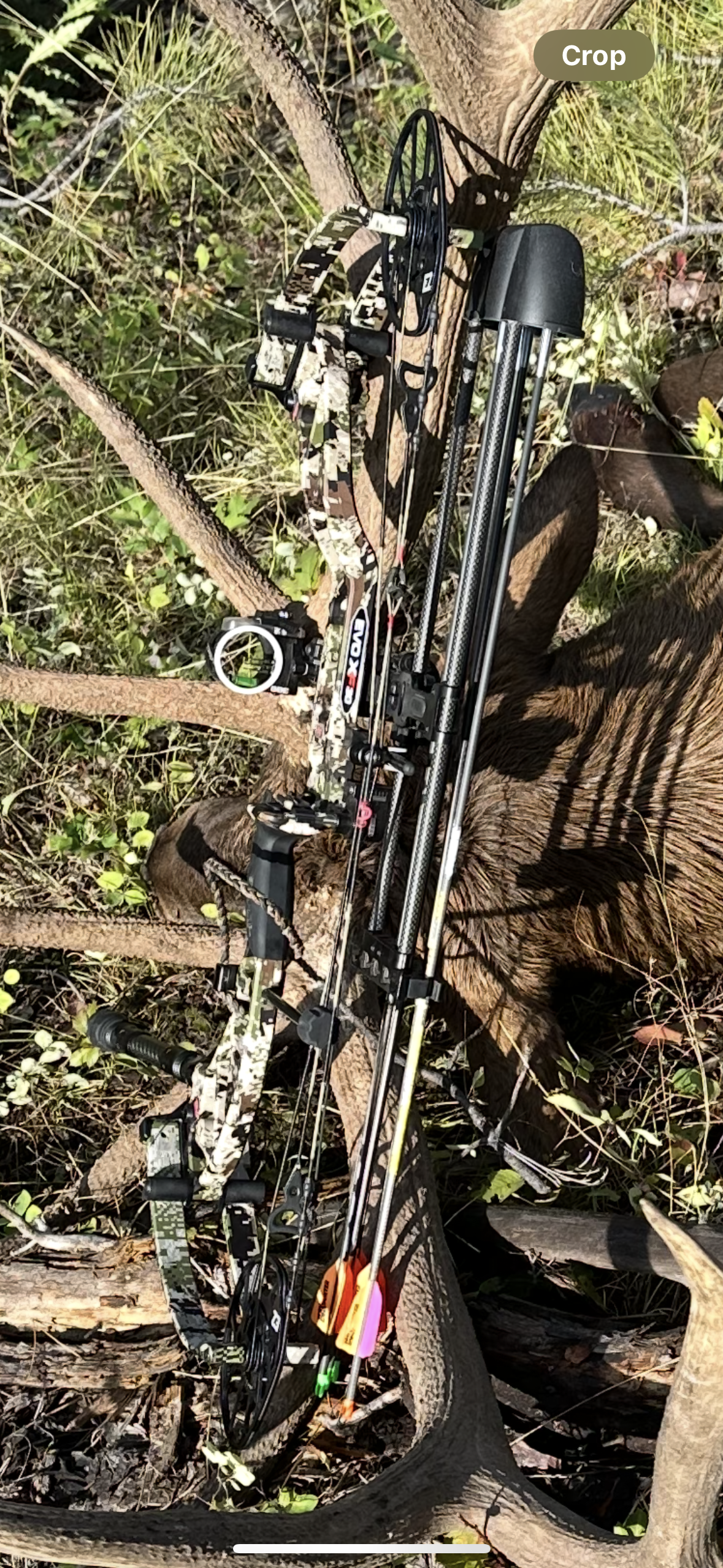 Bow Re-String